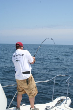 Light Tackle Shark Fishing