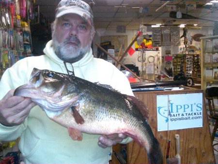 Bob Gagnon weighed in a 5.30-pound largemouth bass caught at Browns Pond in Peabody Ma