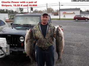 Charlie Power with a pair of stripers. Photo courtesy of Capt'n Hippo's Bait and Tackle.