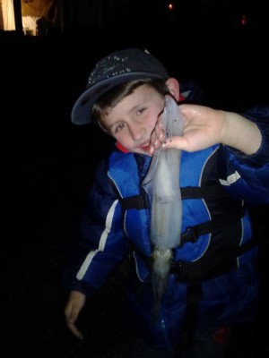 Some squid have been reported in the Newport area.