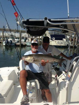 Jerry Rau brought a 31 inch from the back bays. 