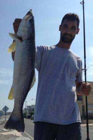 Ant with a 26" weakfish caught on a jig head with Berkley Gulp. Photo courtesy of Absecon Bay Sportsman's Center Facebook page.