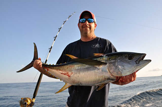 Yellowfin trolling 