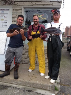 Mike, Stefan and Phil show off their bounty after a good day of tautog fishing at Watch Hill Outfitters this week.