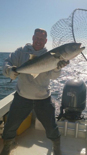 John Klesseraht found monster blues fishing off the East End of Long Island last week.