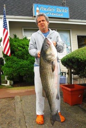Oguz Ozkal with a 33.5-pound striper caught on October 7th.