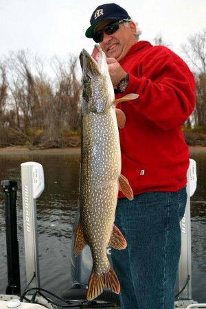 Capt. Blaine Anderson put his clients on a number of beautiful CT River pike this week.