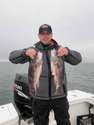 Capt. Mike Roy of Reel Cast Charters was able to put his clients on some nice blackfish this weekend.