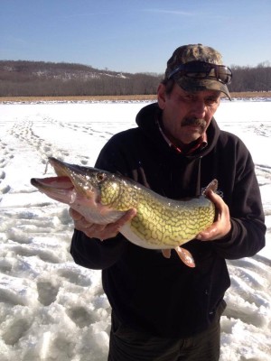 A monster Connecticut River pickerel. (Photo courtesy of Fishin Factory III)
