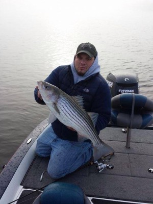 Jason Jadach of Bobby J's Bait and Tackle with a nice Housatonic holdover striped bass.