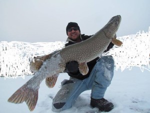 Big pike have been on the feed lately. Jeremi Brown shared this trophy pike photo with us on Facebook. 