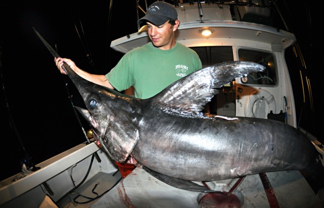 Swordfish