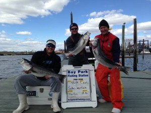 Bay Park Fishing Station reports striper action in the Raritan Bay.