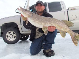 Jeremi Brown with a "late ice fatty" that weighed in at 20+ pounds.