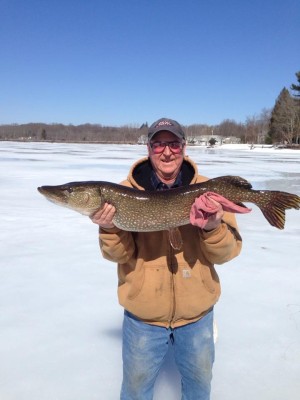 Dennis Deschamps, career best 37 inch 16 lb. 8 oz at Watermans Lake, Gloucester, R.I.
