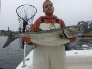Thomas fisher caught this 20-pound bluefish on live bunker.