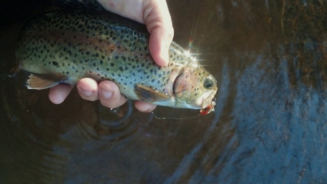 2014-04-12_07-49-22_367