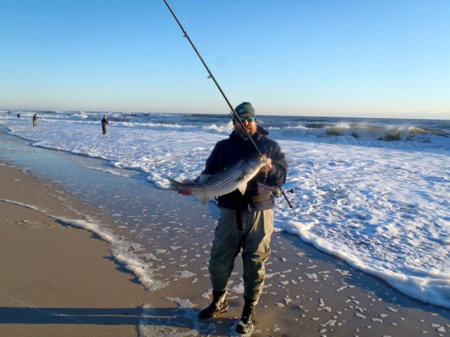 New Jersey Striper IBSP Thanksgiving Day Striper