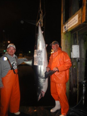 441-pound mako