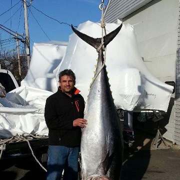 There's a report of giant bluefin tune in Hudson Canyon this week.