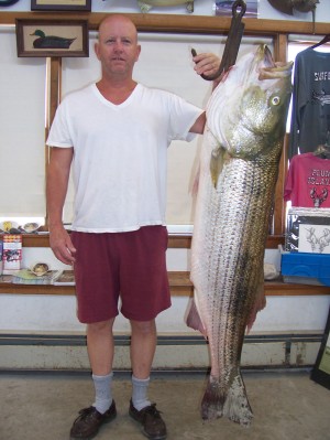Bob Roy, Sr. landed this mammoth 54-pound, 10-ounce striper just outside of the Merrimack River last week while fishing with live mackerel. Thanks to Surfland Bait & Tackle for the photo.