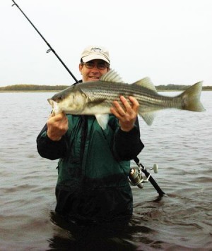 Chris Young with a striper caught on the Joppa Flats. Photo courtesy of Surfland Bait and Tackle's Facebook Page