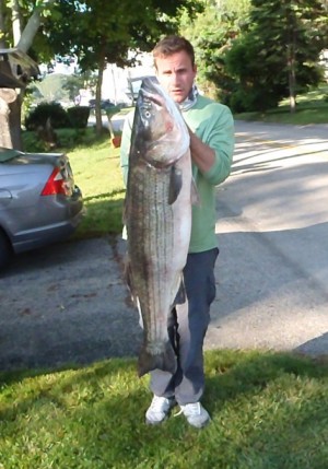 Johnathan Lewie with his 55.1lb striper on June 16th, 2013.