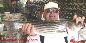 Captain Billy took this striper from the Sod Banks this week.