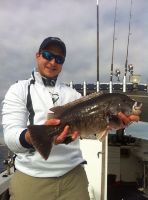 Joe Guarino with a big blackfish caught aboard Adventure Charters out of Point Judith.
