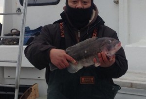 The blackfish were biting in deeper waters, according to the Mimi VI.