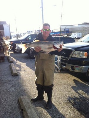 Bob Dever with a 29 3/4 inch 8lb bass caught on bunker at Corsons Inlet.