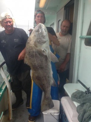 This red drum was caught during a porgy and seabass trip with the VikingFleet out of Montauk.