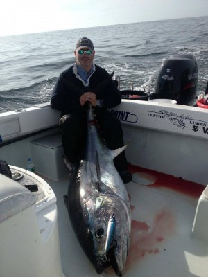 Captain Dom Petrarca of Coastal Charters Sportfishing made it out on Thursday morning and landed this 74-inch bluefin tuna on spinning gear.