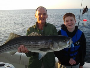 12 year old Aaron Robertson and the 43" striper he landed (and then released) fishing with Capt Bob Weathersby from Rye on Aug.17. The fish was landed on light tackle using a live mackerel for bait.