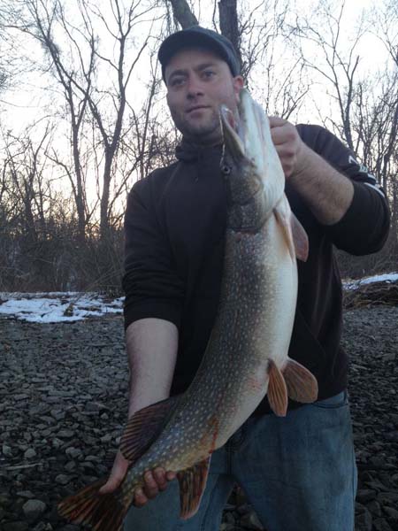 The ice-out northern pike bite on the Connecticut River is in full swing. Here is Angelo Milardo with a nice one he caught on Monday.