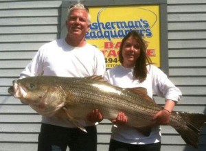 Amanda Nutt was fishing with Captain (and father) Kenny Nutt aboard the Striper, trolling bunker spoons off Island Beach State Park, when she landed this 56-pound striper. photo courtesy Fisherman's Headquarters.