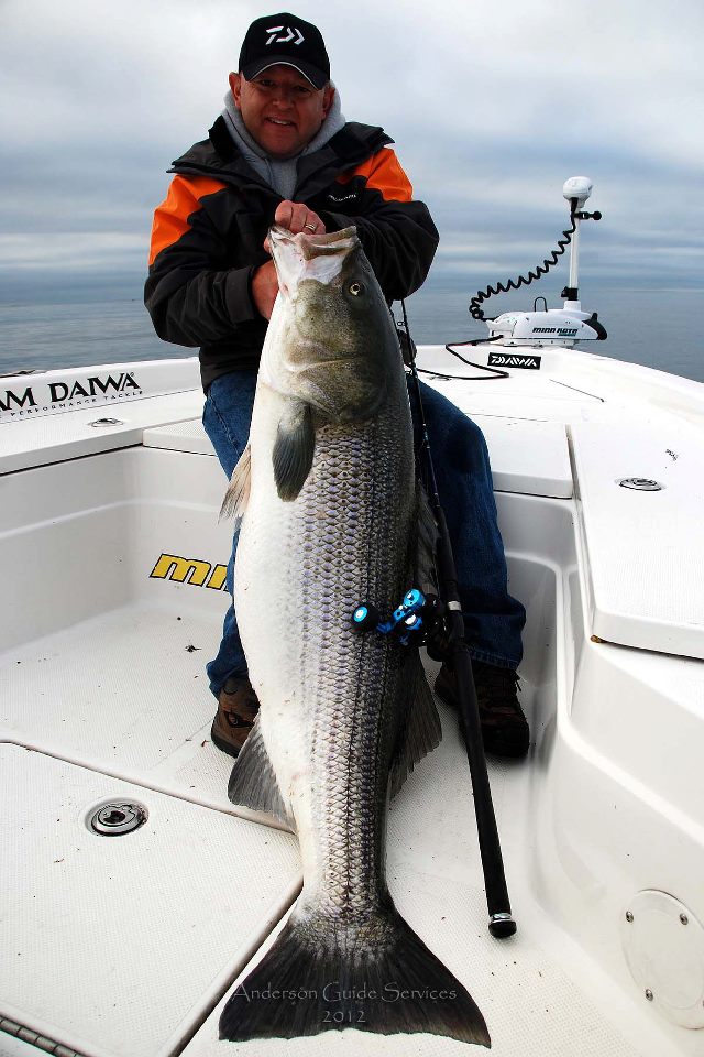 Blaine Anderson Connecticut 74-pound striped bass