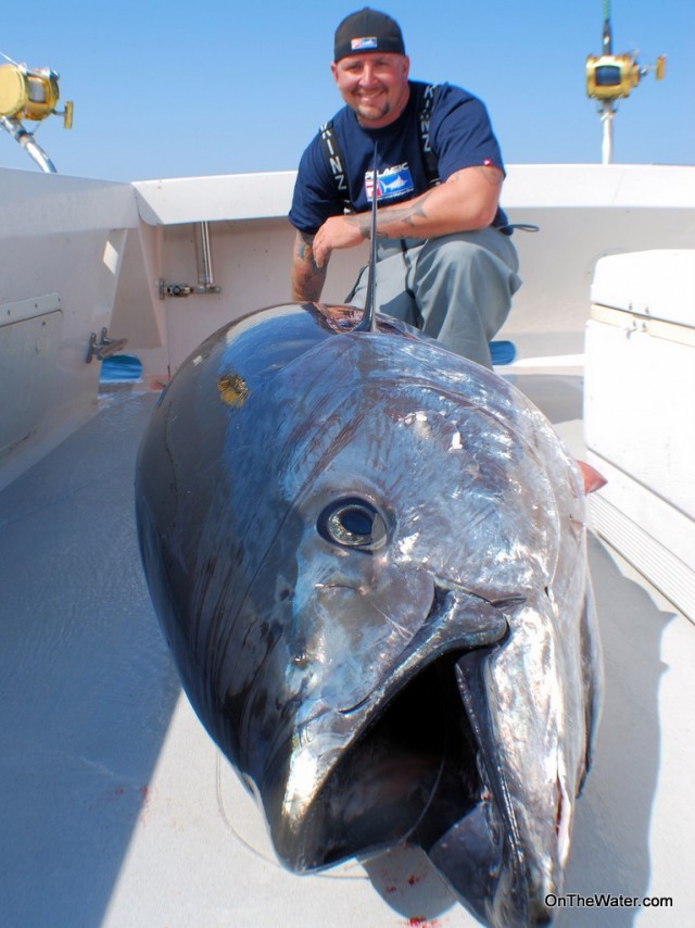 Capt Jack 90 + incher-1 A 90-inch bluefin tuna
