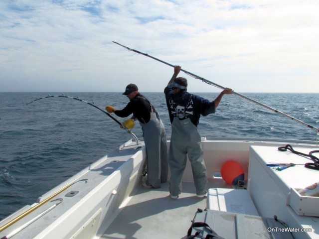 Capt Jack Fight Capt Lou Poon-1 Harpooning a giant bluefin tuna