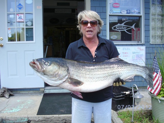 Christine O'Brien Striped Bass