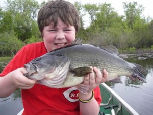 Largemouth bass