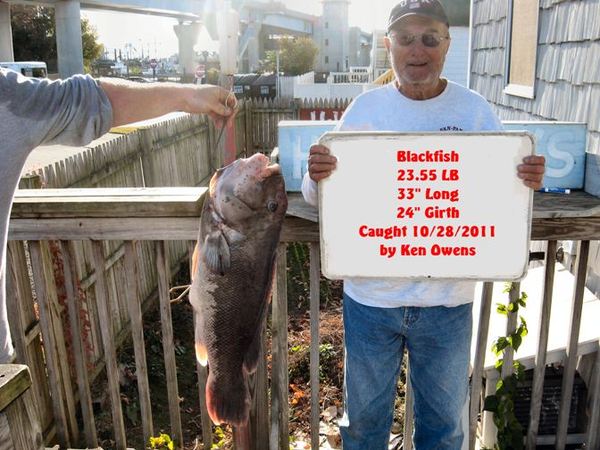 Connecticut Record Tautog