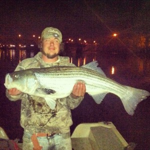 Nick Parker landed this "cow" striper on May 4 in the Connecticut River.