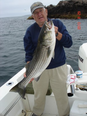 Henry Lukaski caught this 36"/21-pound striper while fishing with bait-chunk mackerel off Manchester, MA. 