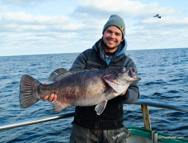 A 20-pound wreckfish. 