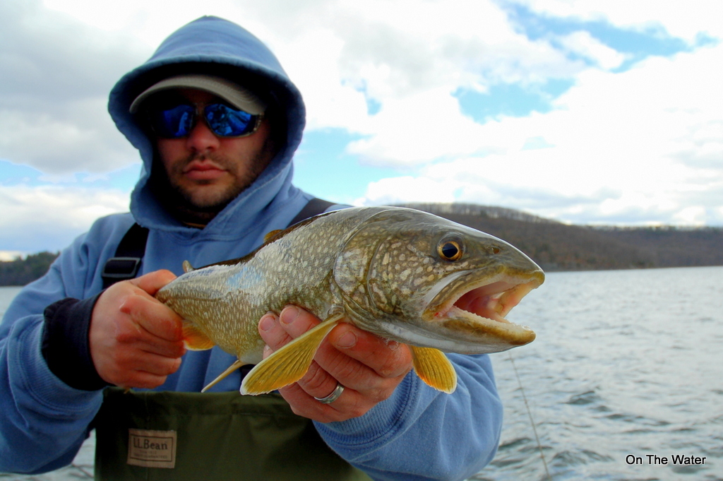 Lake trout Quabbin Reservoir April