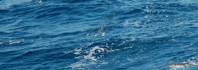 Lines in at 11:00 a.m. First bite at 11:15.