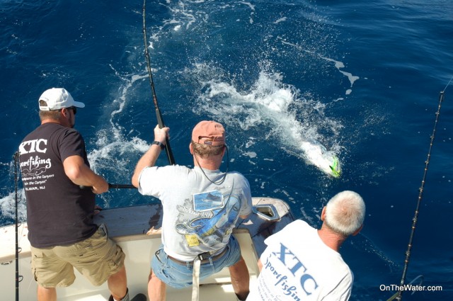 Kevin Kelly (center) brings a longfin into gaffing range for Captain Scott LAST NAME (left) and Joe Yuka (right)