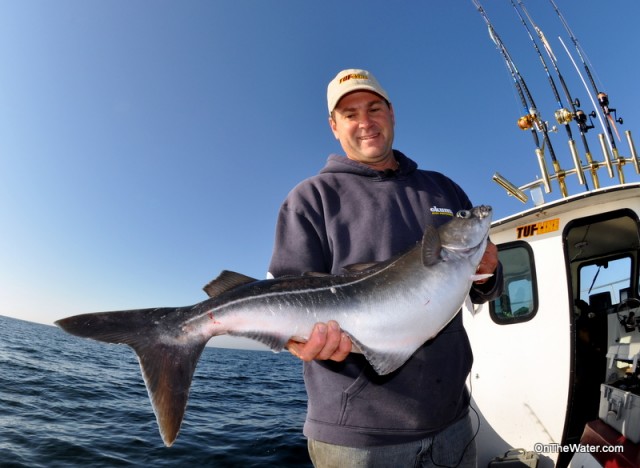 Captain Rich Antonino holds pollock