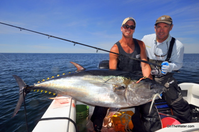 cape cod bluefin van staal vm275 reel